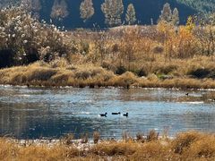 -泸沽湖国家级风景名胜区走婚桥