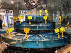 -丁字口海鲜热炒·烧烤大排档