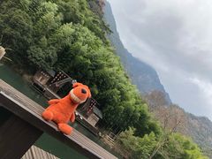 景点-祁门牯牛降观音堂风景区