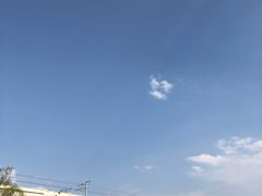 -秀丽东方
