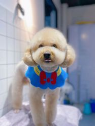 -安琪儿妇产医院·医养月子中心