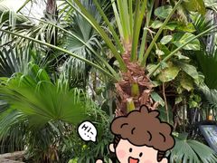 -北京植物园-展览温室