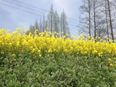 -同济大学(嘉定校区)