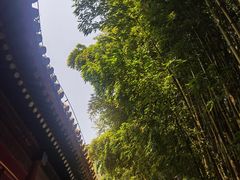 -潭柘寺景区