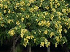 -白塘生态植物园