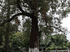 -国恩寺