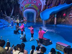 -烟台海昌鲸鲨海洋公园