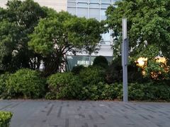 -深圳龙华星河COCO City(民治店)