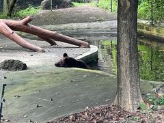 -深圳野生动物园