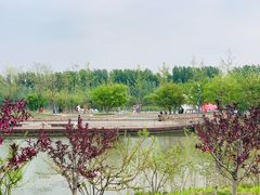 -东郊湿地公园