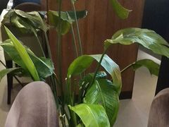 -西堤牛排(南京龙江店)