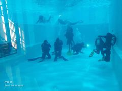 -上海潜殿潜水中心