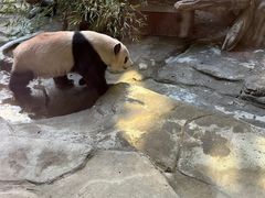 -常州淹城野生动物世界