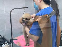 -宠福鑫康馨动物医院·骨科·眼科
