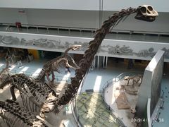 -中国地质大学逸夫博物馆