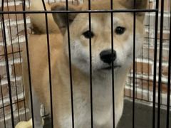 -呼吸沉浸式剧场(甘露园店)