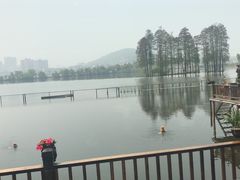 -东湖食堂·湖景餐厅•会议