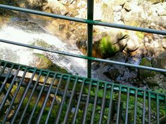 -藏龙百瀑风景区