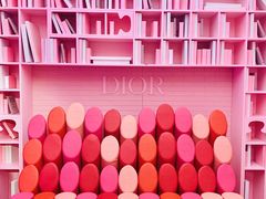 -Dior迪奥(上海世茂广场店)