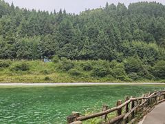 -武陵山森林公园
