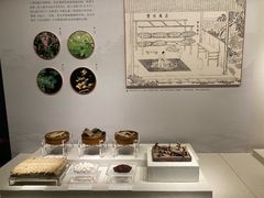-南越王博物院