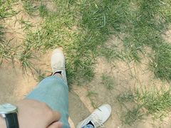 -羊亭河湿地公园