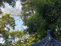 -广州中山纪念堂