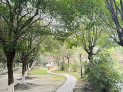 -两河城市森林公园