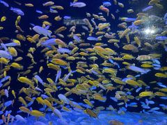 -成都浩海立方海洋公园