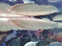 -成都浩海立方海洋公园