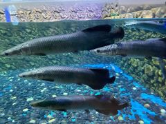 -泉城欧乐堡海洋极地世界