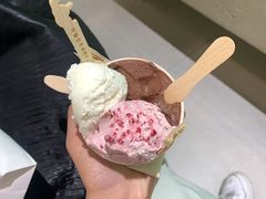 -鹤茶野所(上海首店)