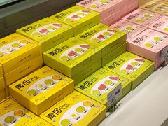 -蒲公英(五里店)