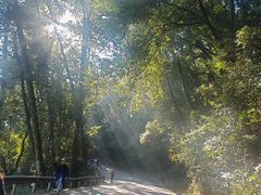 -怡得观滇餐厅·地道昆明菜·1996(海埂大坝店)