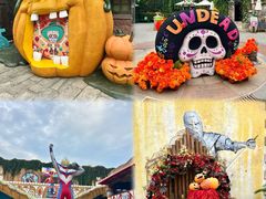 -大连海昌发现王国主题公园