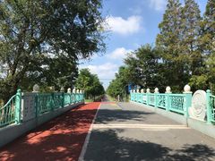 -上海长兴岛郊野公园