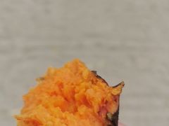 -西部长青自然儿童乐园