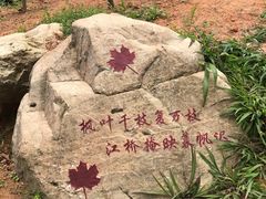 -广州市帽峰山景区