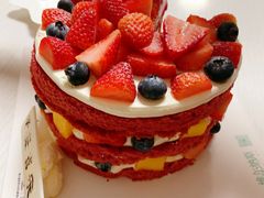 -维尔纳斯·生日蛋糕动物奶油冰淇淋蛋糕(人大店)
