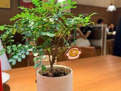-CURRY YA 熟成咖哩專門店(深圳湾万象城店)