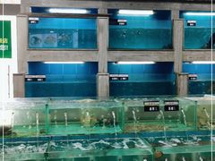 水产区-五谷芳乳鸽王(海景店)