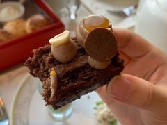 -上海明天广场JW万豪酒店