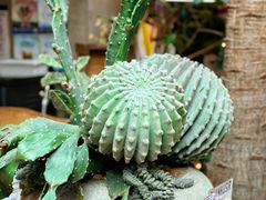 -三秋舍·梦幻岛(小西路店)