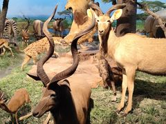 -国家自然博物馆