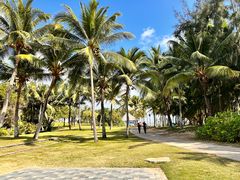 -海南清水湾莱佛士酒店