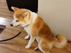 -YCHL Studios健身工作室(市二宫店)