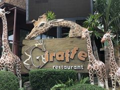 -清迈夜间动物园