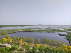 -南大港湿地风景区