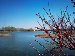 -东郊湿地公园