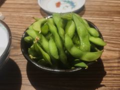 毛豆-TINY